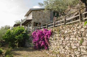 Kép Il Sole di Valletonda Holiday House szállásáról Cornigliában a galériában