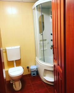 a bathroom with a toilet and a shower at Hotel Francesca in Timişoara