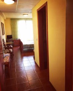 蒂米什瓦拉的住宿－弗朗切斯卡酒店，带沙发和窗户的客厅