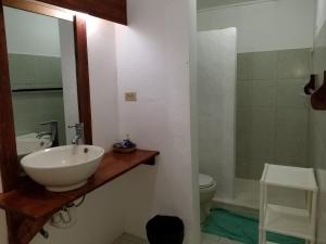 ein Badezimmer mit einem Waschbecken, einem WC und einem Spiegel in der Unterkunft Playa Paraiso en Magante in La Yagua
