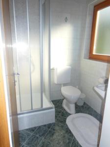 łazienka z prysznicem, toaletą i umywalką w obiekcie Haus Schönleiten w mieście Wagrain