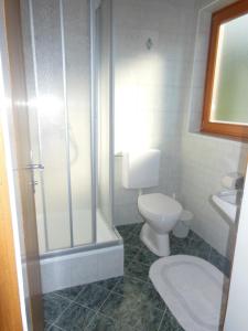 La salle de bains est pourvue d'une douche, de toilettes et d'un lavabo. dans l'établissement Haus Schönleiten, à Wagrain