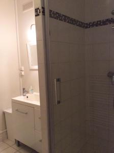 uma casa de banho com um chuveiro e um lavatório. em le gambetta em Lyon