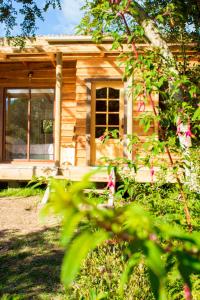 奥尔诺皮伦Rincón del Gaucho的相册照片