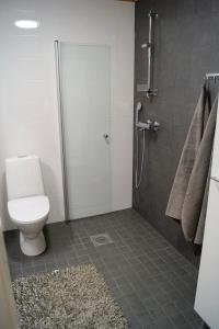 a bathroom with a toilet and a shower stall at Studio in Trendy Kakola Hill area close to city center in Turku