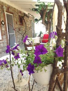 a patio with purple flowers in a large pot at Losta Sahil Evi 2 in Selimiye