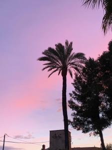 The sunrise or sunset as seen from a panziókat or nearby