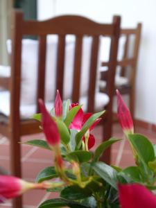 Fotografie z fotogalerie ubytování Il Giardino Delle Sete v destinaci Mesagne