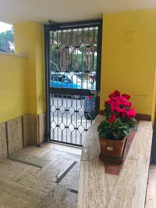 a door with a potted plant in front of it at Setta Apartment in Lido di Ostia