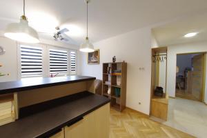 uma cozinha com um balcão preto num quarto em Apatramenty Promienista em Poznań