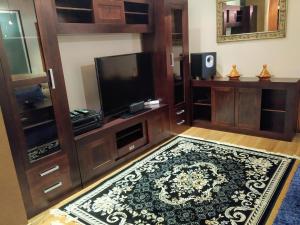 a living room with a television and a rug at -1-Igual que tu casa, garaje gratis, en el centro in Úbeda