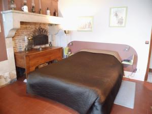 a bedroom with a large bed and a fireplace at Chambre d'hôtes Chez Léon pour 1 à 4 personnes in Chaulgnes