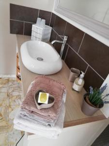 a bathroom with a sink and a bowl of soap on a counter at Maison d'hôtes Le Jas Vieux in Montfort