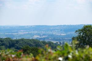 a view from the top of a hill with trees at The Graig Bed & Breakfast Ludlow in Ludlow