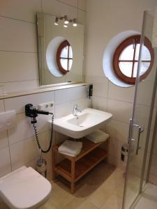 a bathroom with a sink and a toilet and a mirror at Hotel Daimerwirt in Moosinning