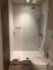 La salle de bains est pourvue d'une douche et de toilettes. dans l'établissement Hotel Palm Garavan, à Menton