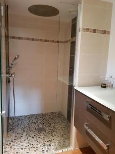 y baño con ducha y puerta de cristal. en Gite et chambres de la porte du parc, en Les Iffs