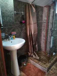 Et badeværelse på Cottage in Gudauri