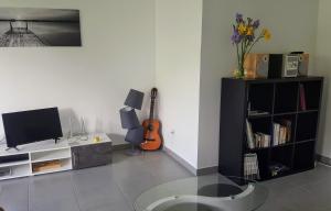 a living room with a tv and a guitar in it at Les Picaillons - A 200m du lac in Aix-les-Bains