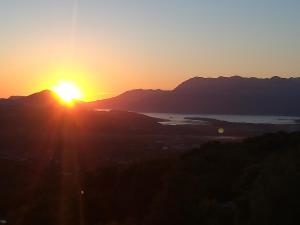 Gallery image of Forest Apartments in Kotor +35 photos