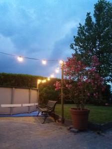 Zahrada ubytování B&B LoFt 21