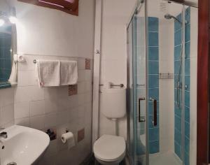 a bathroom with a toilet and a glass shower at Lagoas in Tavira
