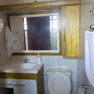 ein Bad mit einem WC, einem Waschbecken und einem Fenster in der Unterkunft solar norte in Florianópolis