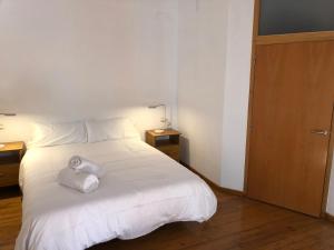 Ein Bett oder Betten in einem Zimmer der Unterkunft Cozy en Blanch. Center