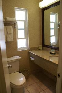 a bathroom with a toilet and a sink and a mirror at Royal Palace Westwood Hotel in Los Angeles