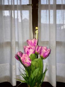 eine Vase rosafarbener Blumen vor einem Fenster in der Unterkunft Apartamentos Palombina in Celorio