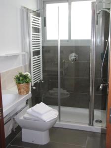 a bathroom with a shower and a toilet and a sink at Life Apartments El Rompido in El Rompido