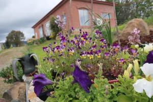 Cherry Top Farmstay - Boutique Eco Village外面的花园