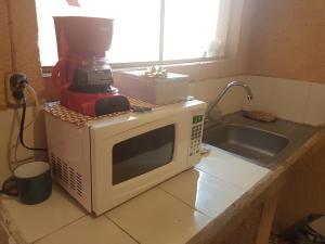 a microwave sitting on a counter next to a sink at Río Apartment City Center in Quetzaltenango