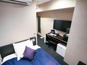TV a/nebo společenská místnost v ubytování HOTEL LiVEMAX Tokyo-Otsuka Ekimae