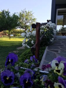 einen Zaun mit lila und weißen Blumen vor einem Haus in der Unterkunft Brisas de Nono in Nono