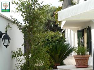 Zahrada ubytování Il Giardino Delle Sete
