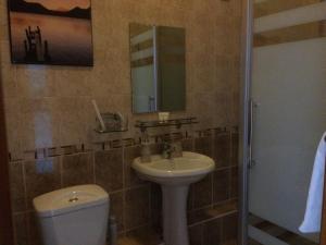 a bathroom with a sink and a toilet and a mirror at Altyn Adam Hotel in Pavlodar