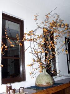 Ảnh trong thư viện ảnh của Oyado Raku ở Takayama