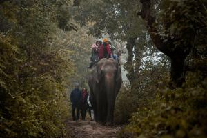 a group of people riding on the back of an elephant at Nana Jungle Resort Near Chitwan National Park in Bharatpur +141 photos