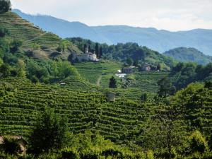 Uma vista aérea de Locanda Ai Archi Di Andreola Monica