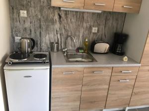 a small kitchen with a sink and a refrigerator at Joges Apartment in Krinídhes
