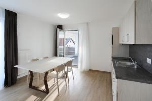 Kuchyň nebo kuchyňský kout v ubytování Apartment Hotel 37
