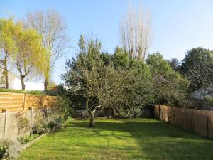 un jardin avec une clôture et un arbre dans l'établissement l'echoppe rochelaise, à La Rochelle