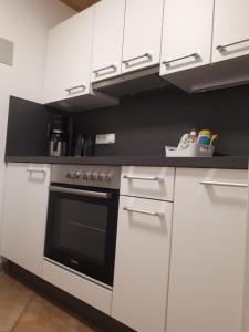Kuchyň nebo kuchyňský kout v ubytování Appartement Roland