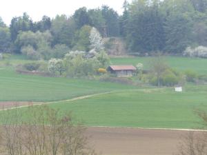 un gran campo verde con una casa a lo lejos en Ferienwohnung Baierl en Nördlingen