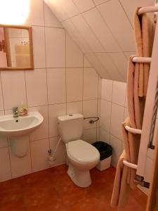 a small bathroom with a toilet and a sink at U Schabińskiej Chyrowianka Gościniec in Dukla +30 photos