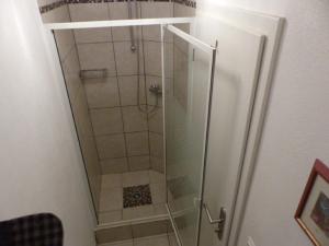 y baño con ducha y puerta de cristal. en Ferienwohnung Baierl en Nördlingen