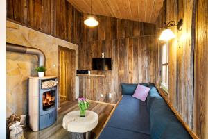 a living room with a couch and a fireplace at Red Rock Resort in Oybin