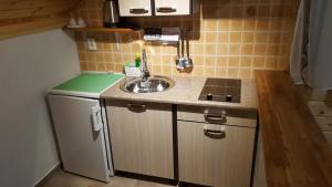 Kuchyň nebo kuchyňský kout v ubytování Apartman Marica
