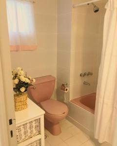 a bathroom with a pink toilet and a bath tub at Cuatro Estaciones in San Carlos de Bariloche
